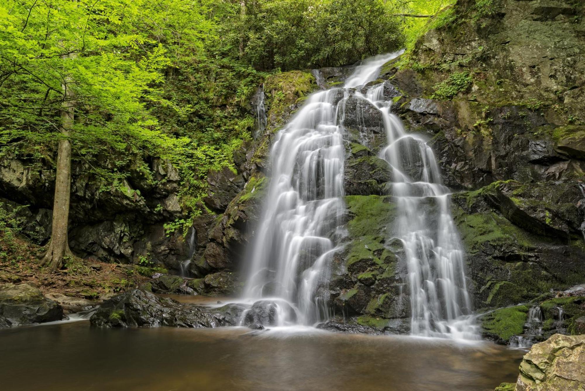Bear Den, Hot Tub, 1089 Of Free Attraction Tickets For Each Paid Day, Dollywood And More! セバービル エクステリア 写真
