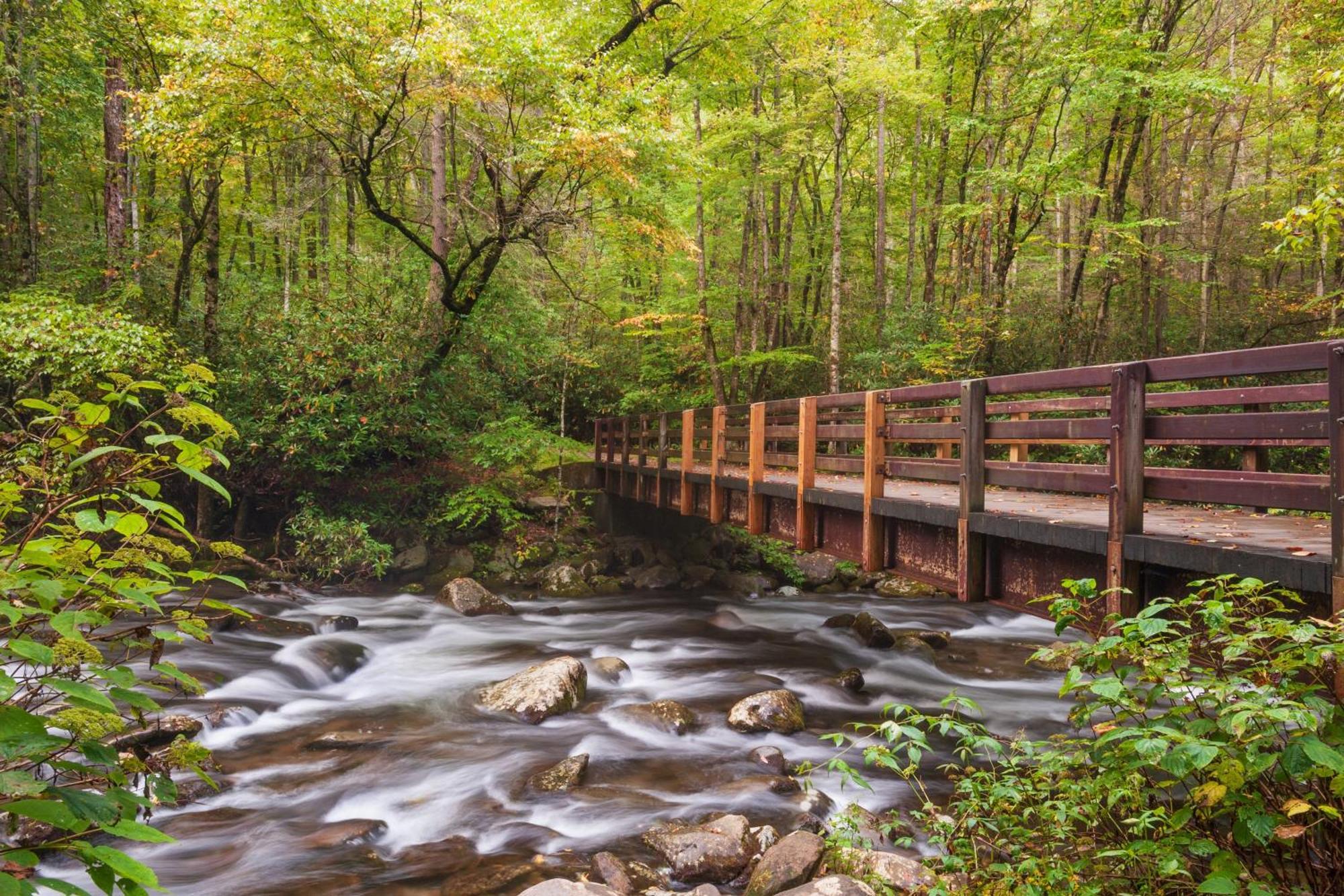 Bear Den, Hot Tub, 1089 Of Free Attraction Tickets For Each Paid Day, Dollywood And More! セバービル エクステリア 写真