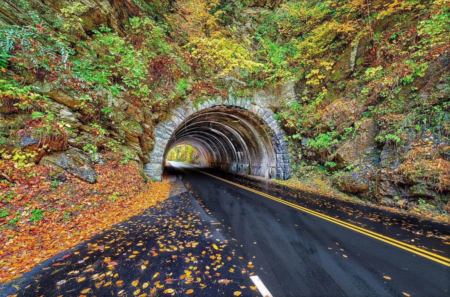Bear Den, Hot Tub, 1089 Of Free Attraction Tickets For Each Paid Day, Dollywood And More! セバービル エクステリア 写真