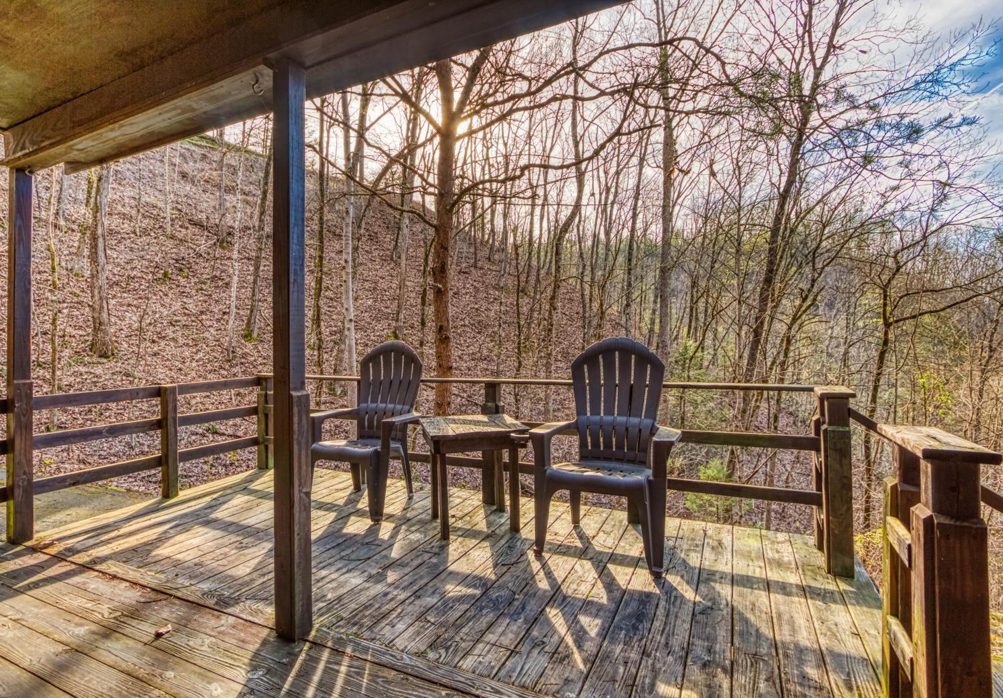 Bear Den, Hot Tub, 1089 Of Free Attraction Tickets For Each Paid Day, Dollywood And More! セバービル 部屋 写真