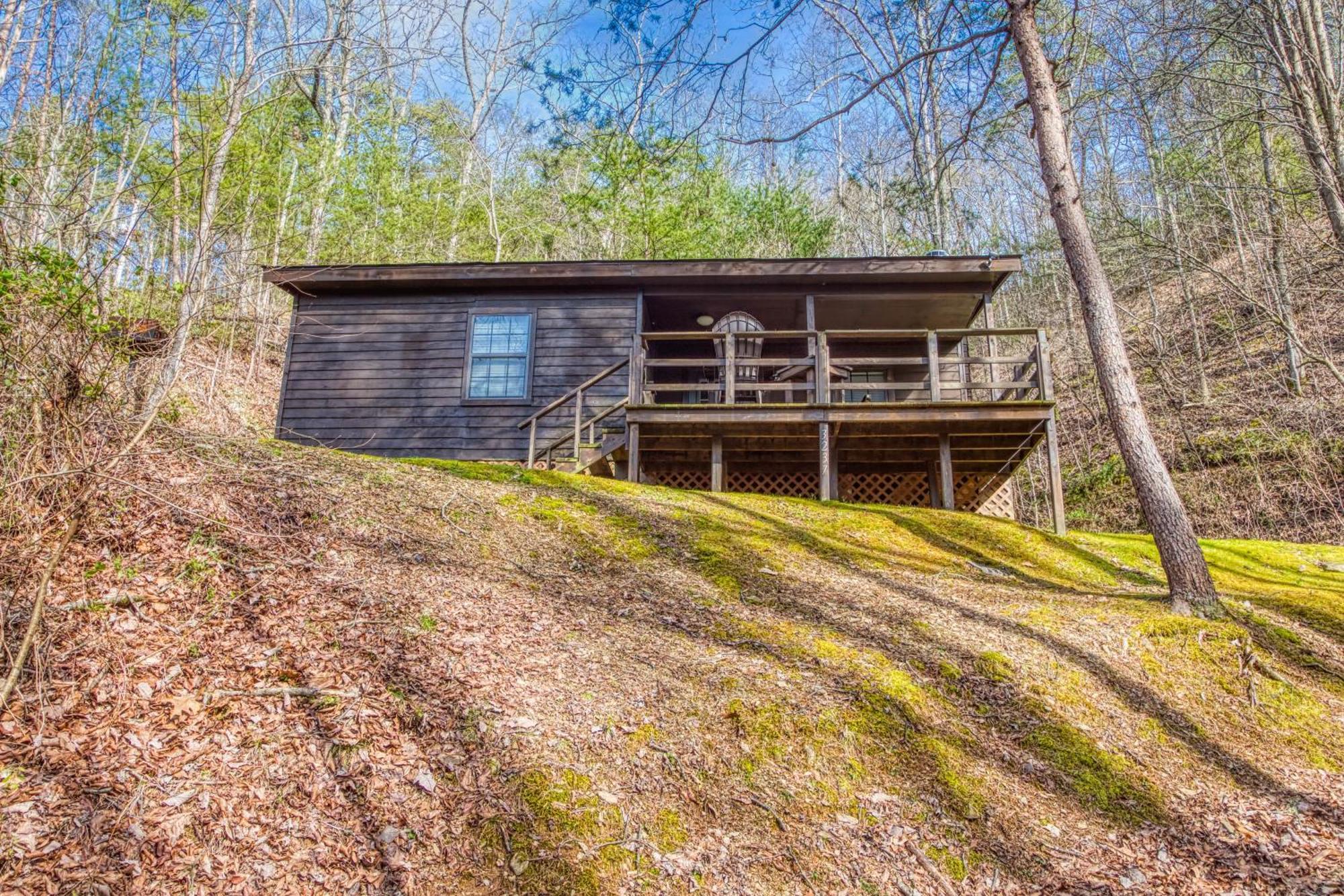 Bear Den, Hot Tub, 1089 Of Free Attraction Tickets For Each Paid Day, Dollywood And More! セバービル 部屋 写真